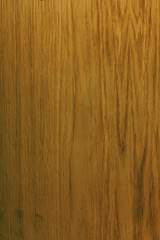 Wall Mural - Wood oak texture