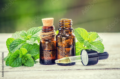 Fotografie, Obraz Mint extract. Medicinal plants. Selective focus.