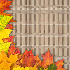 Wall Mural - autumn leaves.