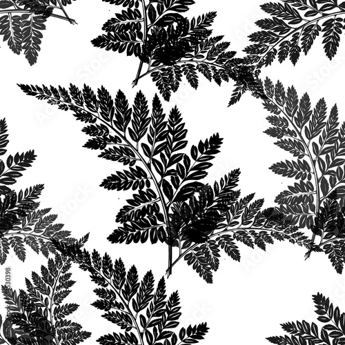 Foto-Gardine - Seamless pattern with fern leaves (von viktoria)