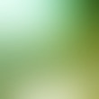 Light green gradient abstract background