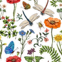 Summer Vector Seamless Pattern. Botanical Wallpaper. Plants, Insects, Flowers In Vintage Style. Butterflies, Dragonflies, Beetles And Plants In The Style Of Provence On A Light Background