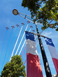 © franky 28 - Passage de la Patrouille de France au dessus des Champs-Elysées le 14 juillet 2017