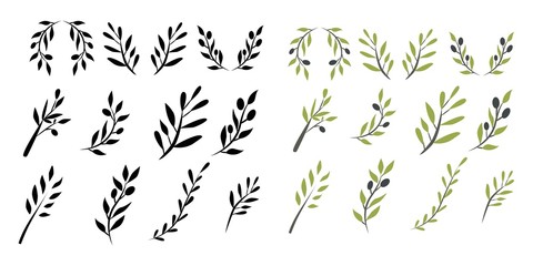 olive brunch set. digital illustration