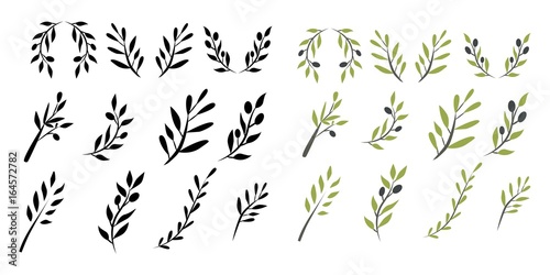 Fotomural Olive brunch set. Digital illustration