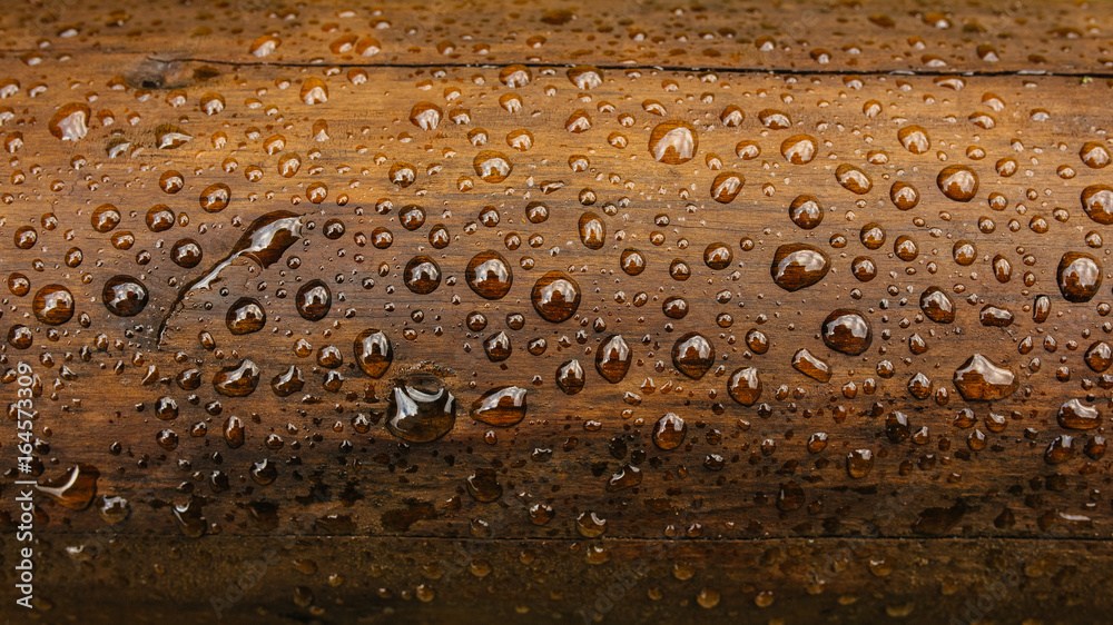 Drop of water on wood with raindrop - obrazy, fototapety, plakaty 