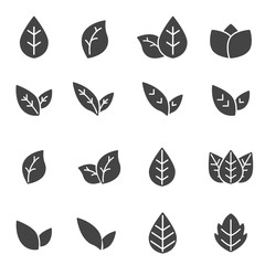 Poster - leaf icon vector