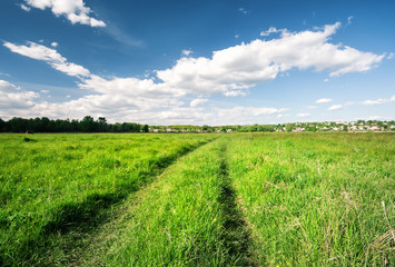 Wall Mural - road in a field with green grass under a blue sky