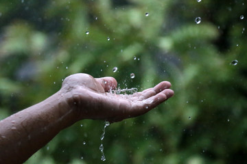 Picture of rain drops on hand. Hands extended in the rain. Human hands in the rain.Photo with bokeh and blur background.
