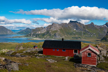 Wall Mural - Beautiful nature and landscape in the Lofoten Islands during summer in Norway
