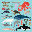 Collection of Sea Animals