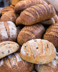 Loaves of freshly baked wholemeal and sourdough bread