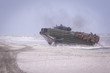 US Navy amphibious personnel carriers take part at a NATO military exercise, on 18 March 2017, in Capu Midia, Romania.