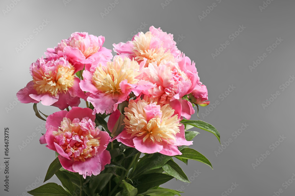 Bouquet of beautiful peony flowers on grey background