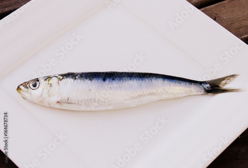 Sardine Crue Isolee Dans Assiette Poisson Stock Photo Adobe Stock