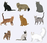 Fototapeta Koty - Vector breed cats icons set.