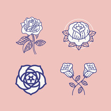 Vector Illustration - Rose Flowers