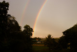 Fototapeta Tęcza - Rainbow in sky evening over residential, trees in Thailand city with dark sunshine in summer