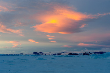 Wall Mural - Icebergs in Antarctica at sunset