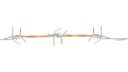 barb wire fence isolated on a white background