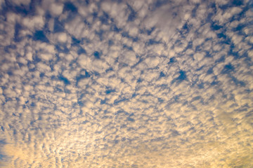 Wall Mural - beautiful fluffy of cloud (cumulus) with sunset sky (yellow light on cloud)