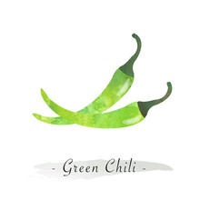 Colorful Watercolor Texture Vector Healthy Vegetable Green Chili