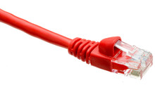 Red Ethernet RJ45 Network Cable