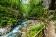 Vintgar gorge, beauty of nature, with river Radovna flowing through it, near Bled, Slovenia
