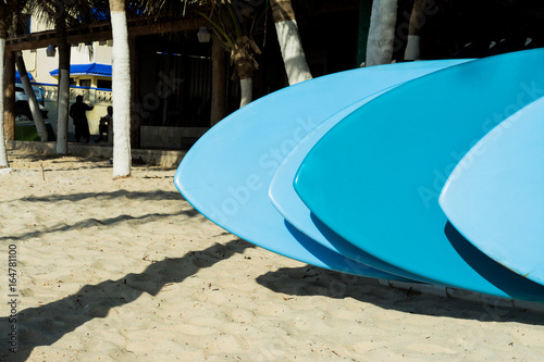 Fotografie, Obraz Las tablas de surf están en la arena de Playa del Carmen.