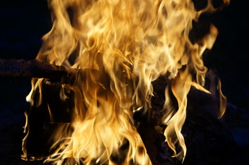 Bright flame of fire from birch bark and firewood in the evening forest