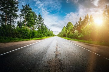 Wall Mural - sunrise beautiful road in forest