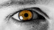 © Max Brocel - Oeil de braises