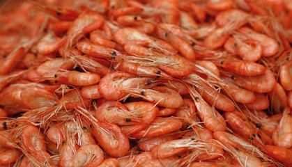 Fresh boiled pink small shrimps close up