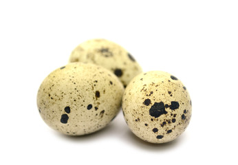 quail egg