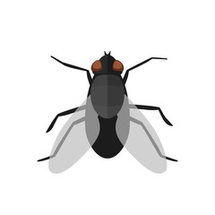 fly icon in flat style