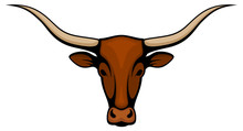 Vector Illustration Of The Head Of A Longhorn Steer.