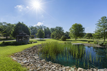 Private Lac, Garden, Landscape In Buchanan, Michigan In Florida