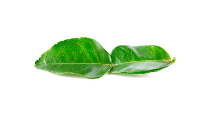 Wall Mural - Kaffir lime leaves on white background