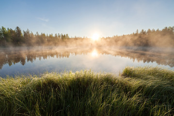 Wall Mural - Small forest lake at sunrise