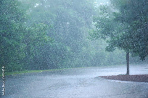 Zdjęcie XXL ulewny deszcz i drzewo na parkingu