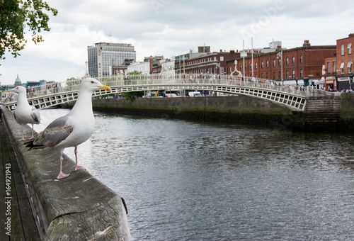 Plakat Podróżuj po Irlandii. Dublin, most Ha&#39;penny