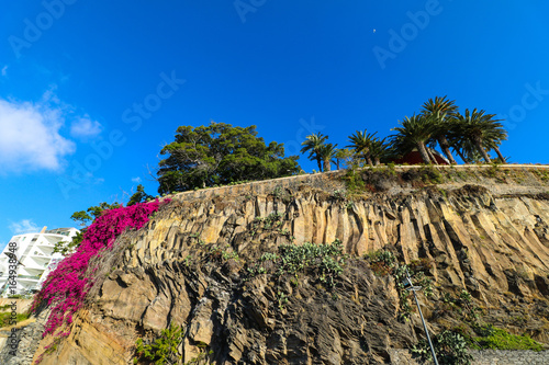 Fotografie, Obraz Die Hafenpromenade von Funchal auf der Insel Madeira