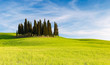 SAN QUIRICO D'ORCIA, TUSCANY ITALY with rolling hills and tuscan cypress trees. Located in Val D'Orcia countryside.