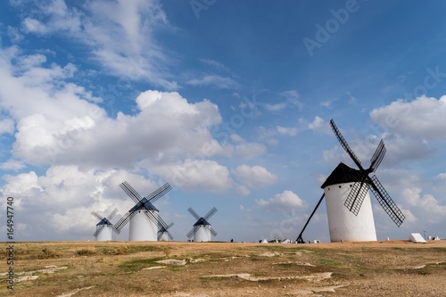 Cuadros en Lienzo Campo de Criptana
