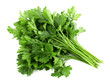 parsley bunch isolated on white background