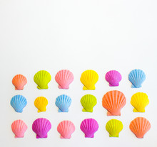 Composition Of Colored Exotic Sea Shells On A White Background. The View From The Top. Place For Your Text.