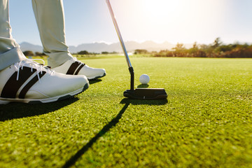 Wall Mural - Golfer putting golf ball to hole