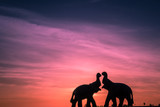 Fototapeta Zwierzęta - Sunset Elephant Silhouette 1