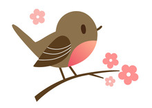 Cartoon Hand Drawn Illustration Of A Cute Robin Bird Sitting On A Flowering Tree Branch, In Contemporary Flat Vector Style. Spring Nature Outdoor Themed Design Element 