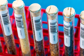 Wall Mural - Test tubes with bar codes with seeds of selection plants